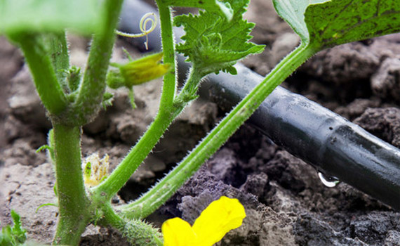 廣西噴灌設(shè)備