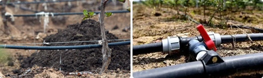 南寧滴灌設(shè)備